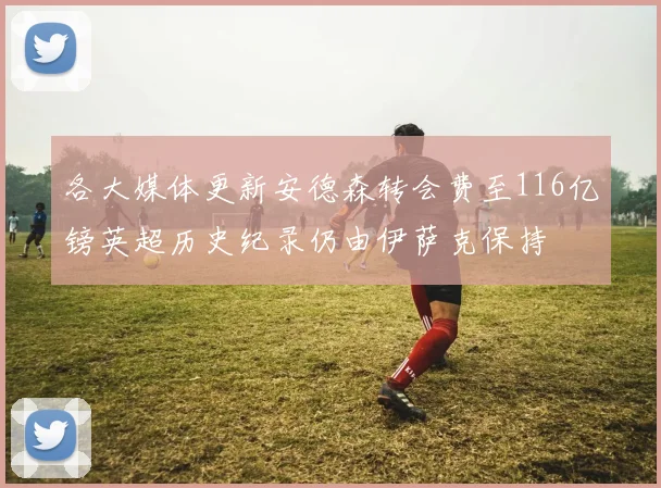 各大媒体更新安德森转会费至116亿镑英超历史纪录仍由伊萨克保持